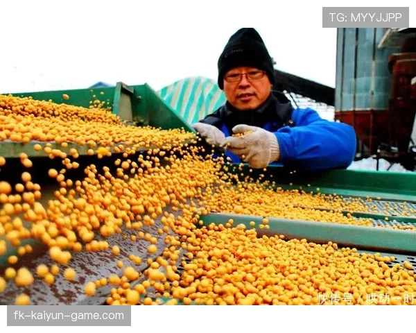 关税成美豆贸易阻碍，中国停止采购4个月，美国停止采购的中国产品